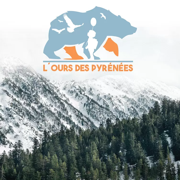 Ours des Pyrénées